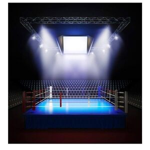 Boxing Backdrop #2, 9 x 9,Photography Empty Professional Lighting Boxing Ring